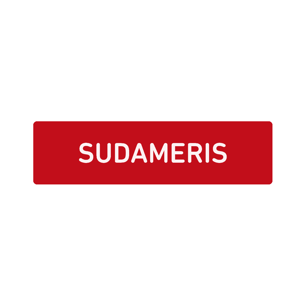 logo-sudameris