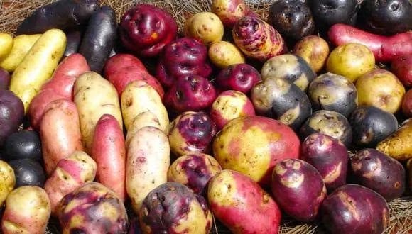 variedad de papas peruanas